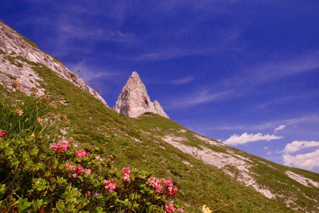 Schermerhuetten Tauplitzalm Luaran gambar